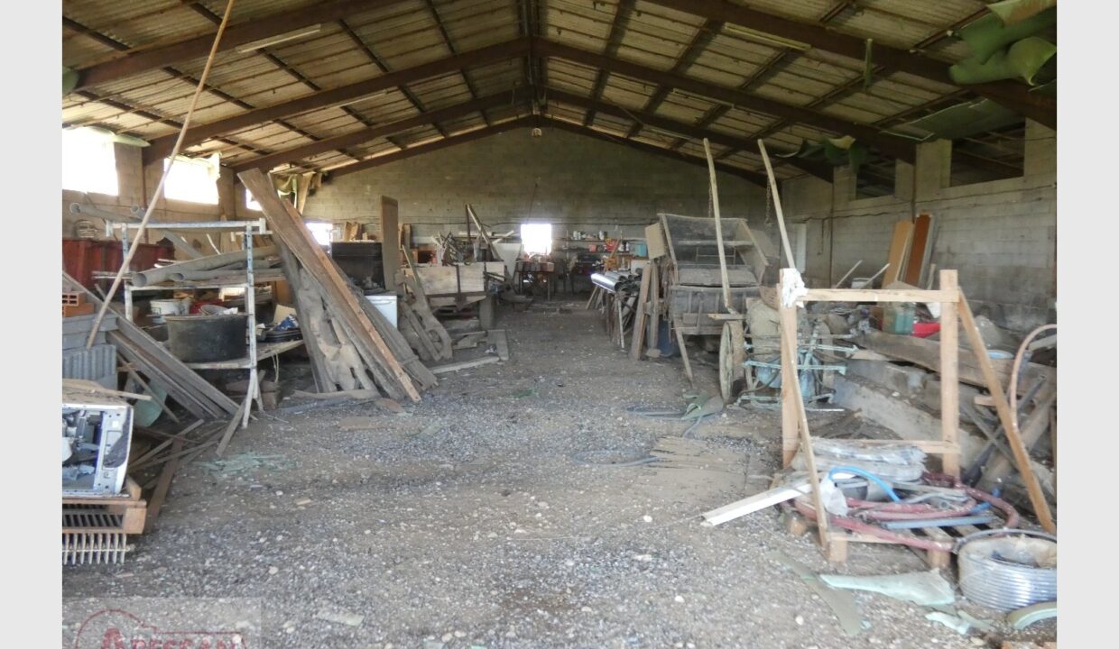 cedp-2646756-5
