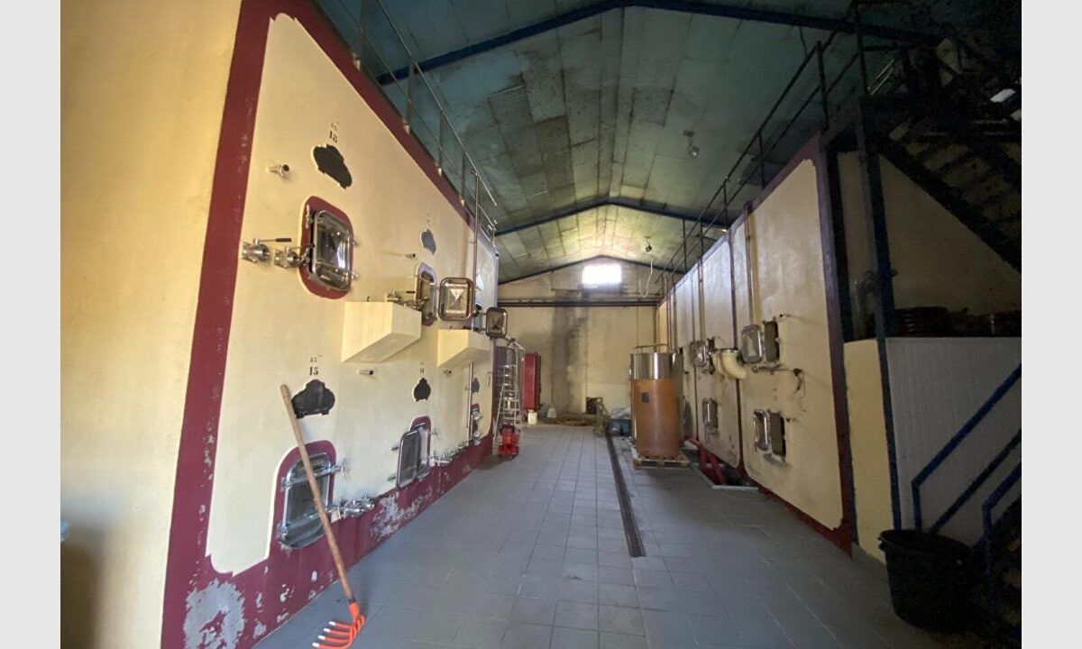 cedp-2646762-2