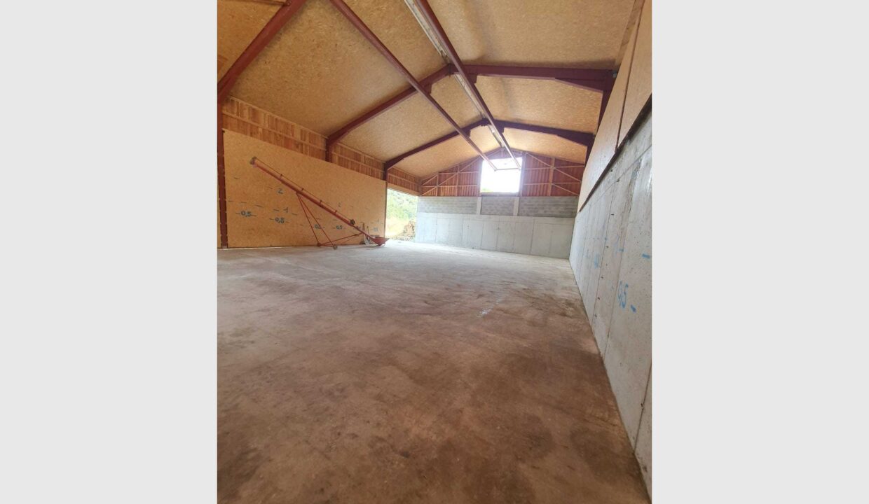 cedp-2646962-2