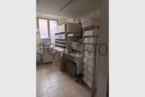 cedp-2646995-3