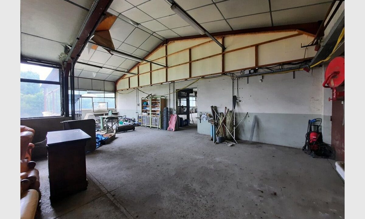 cedp-2629542-10