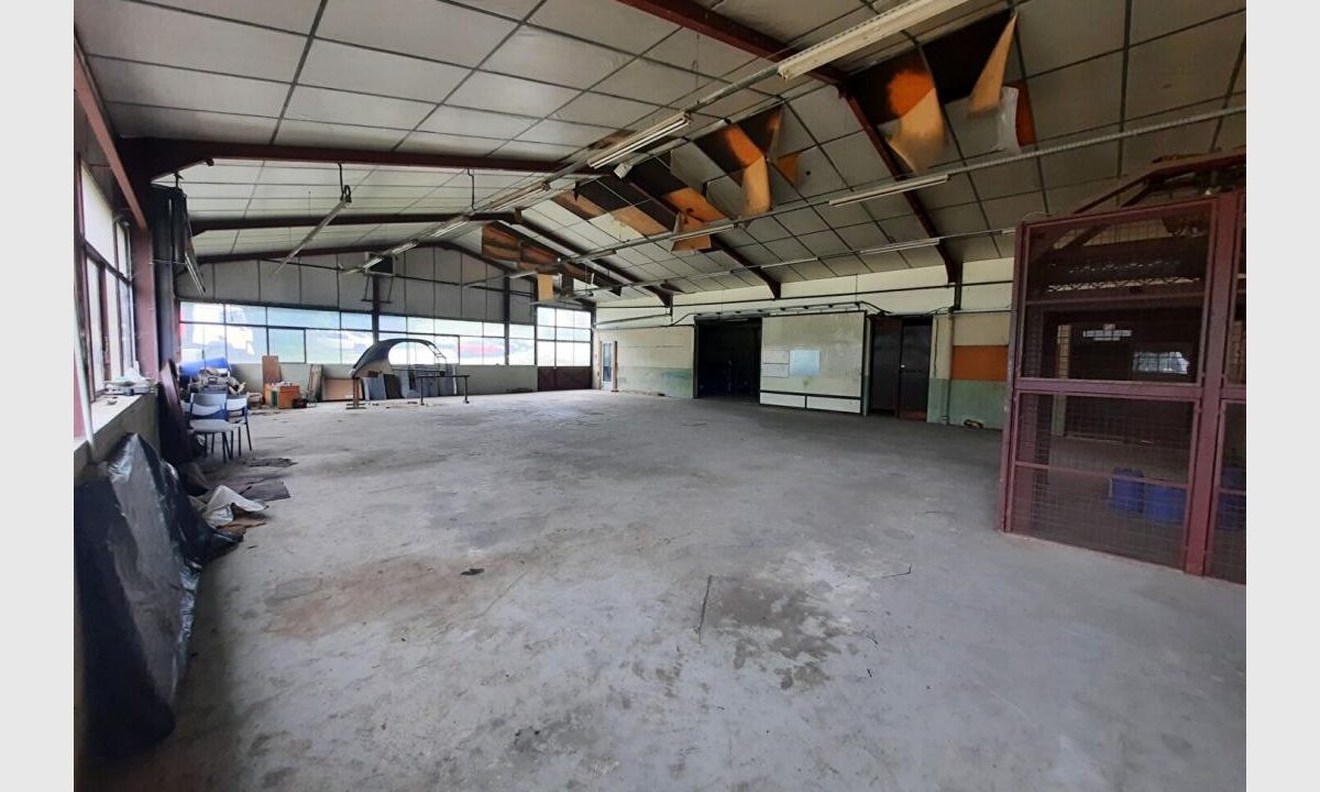 cedp-2629542-11