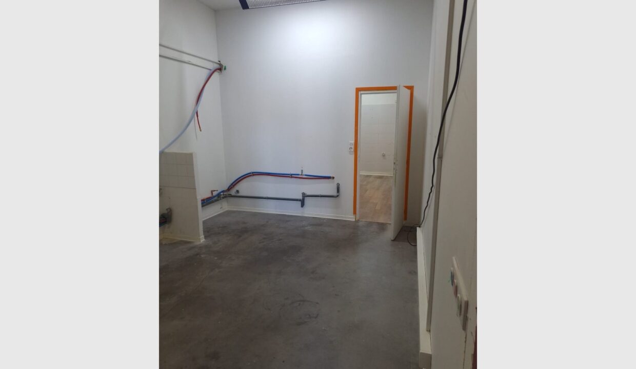 cedp-2649515-11
