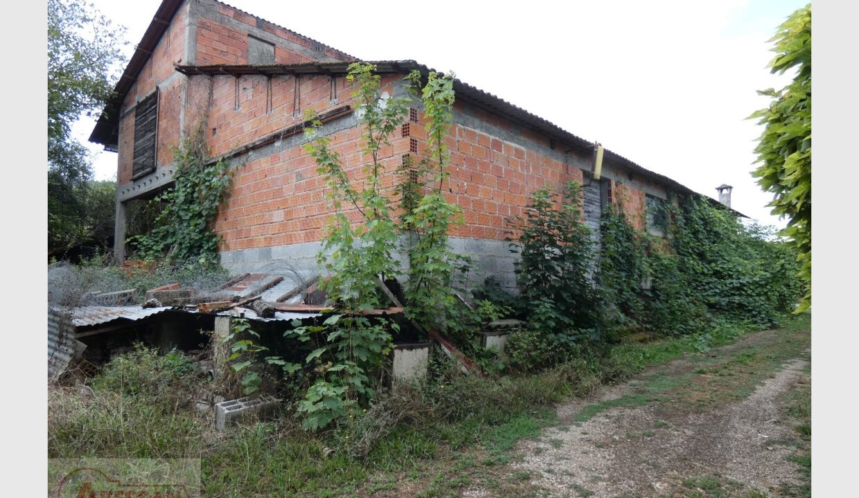 cedp-2655893-9