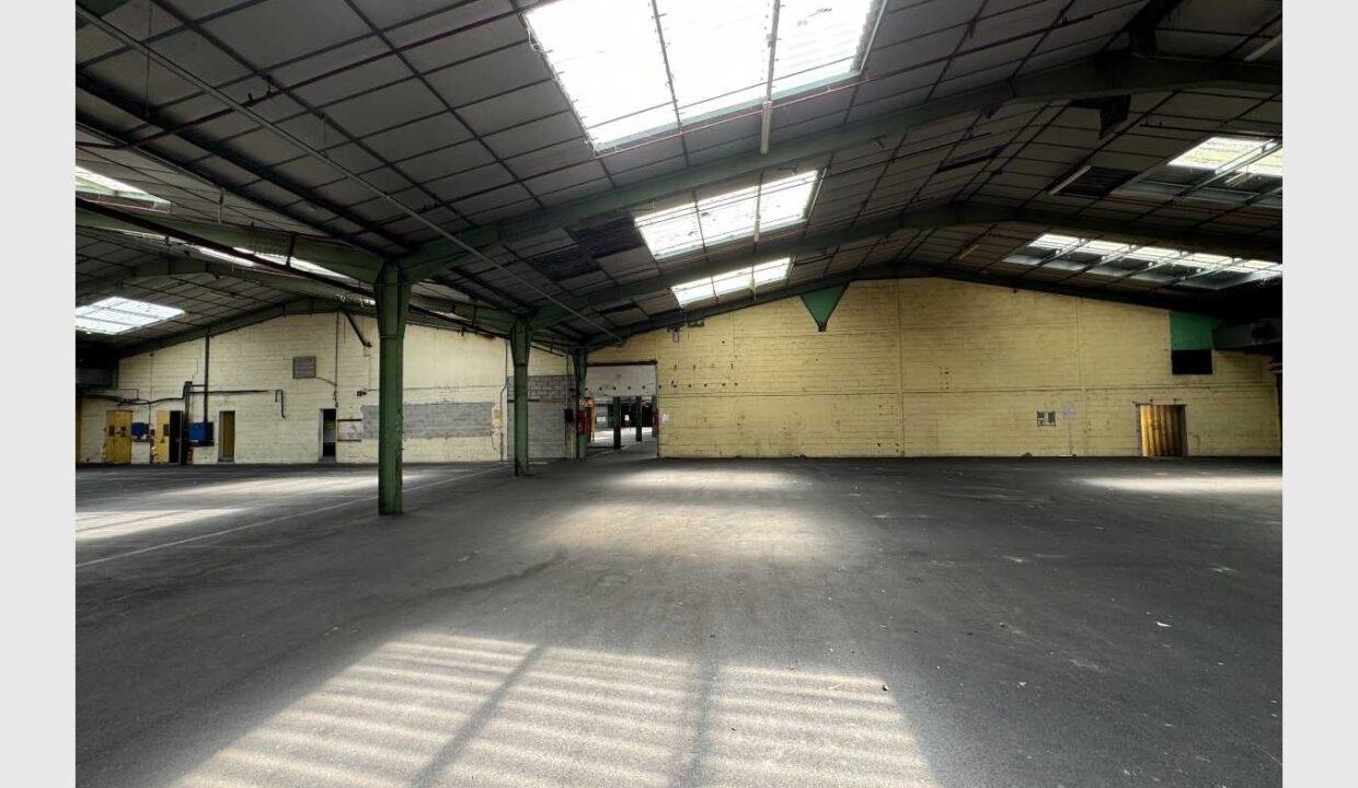 cedp-2656498-1