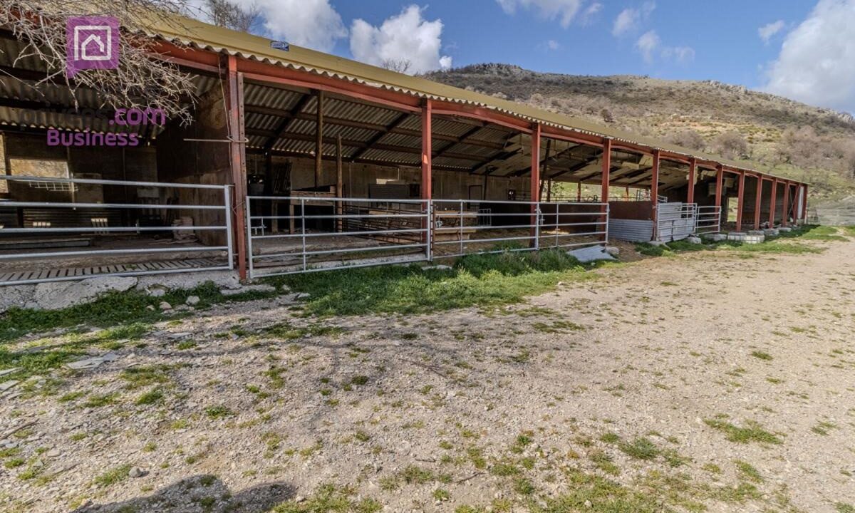 cedp-2657708-11