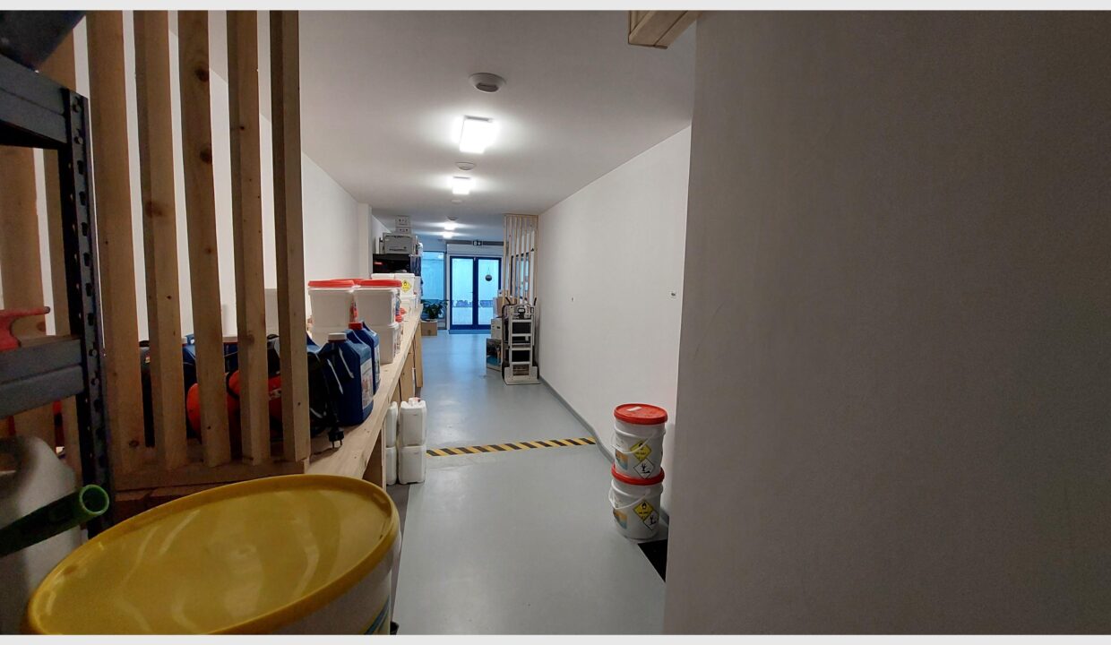 cedp-2658863-7
