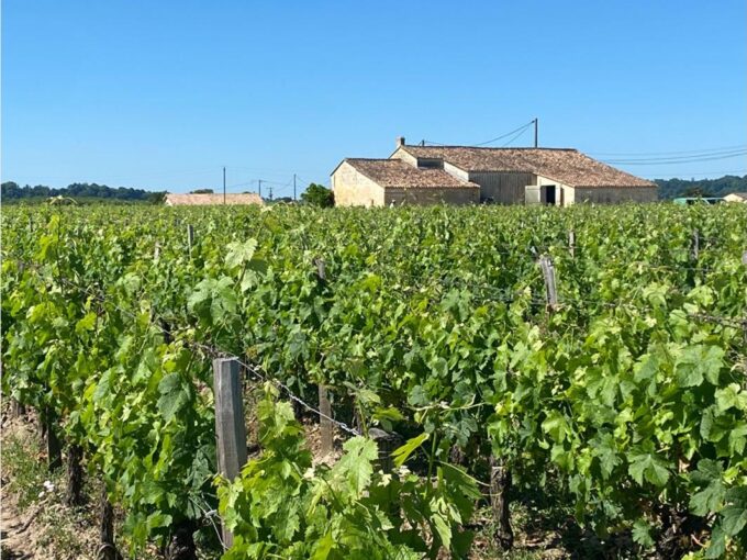 Excellence à Saint-Émilion : Domaine viticole prestigieux avec résidence d’exception
