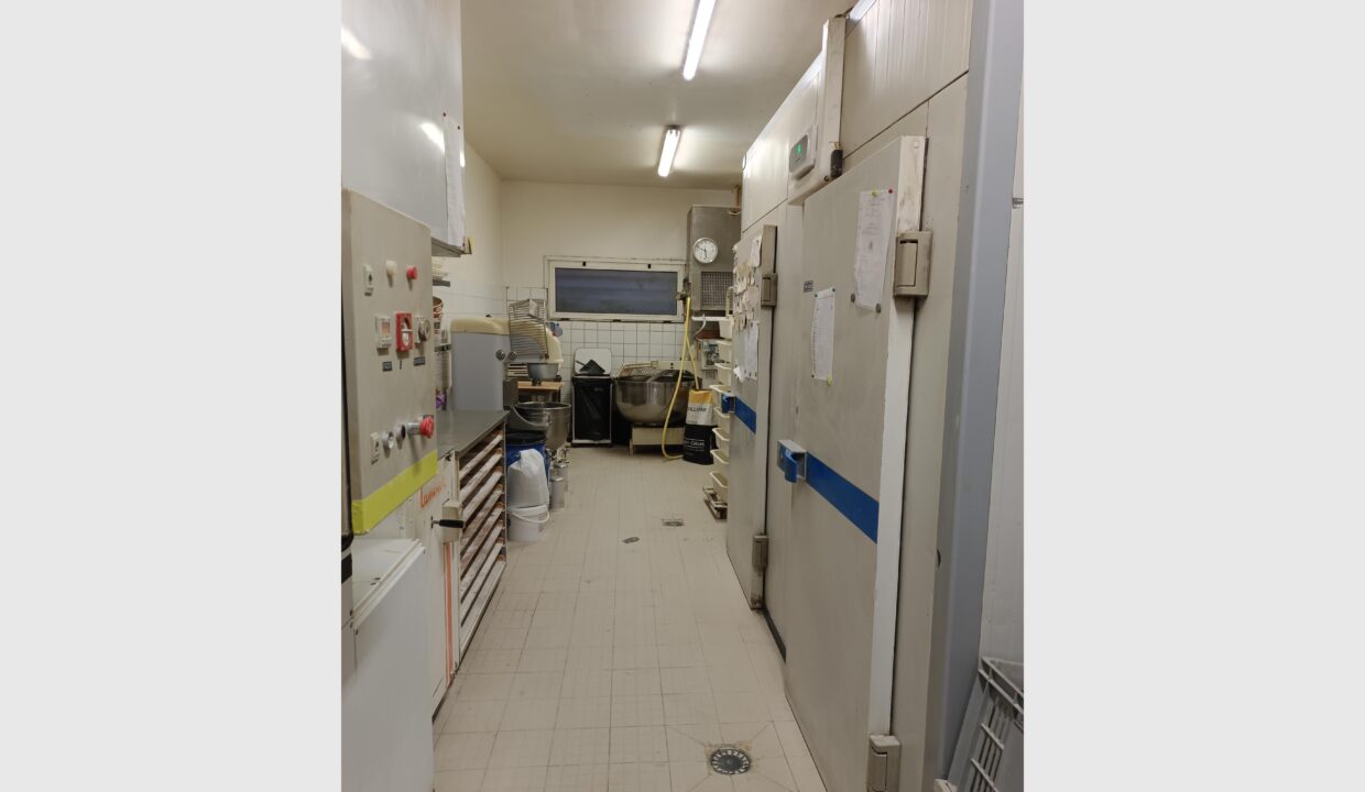 cedp-2660237-3