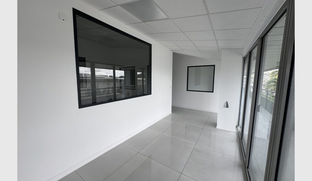 cedp-2664041-1