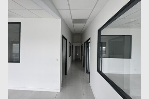 cedp-2664041-2