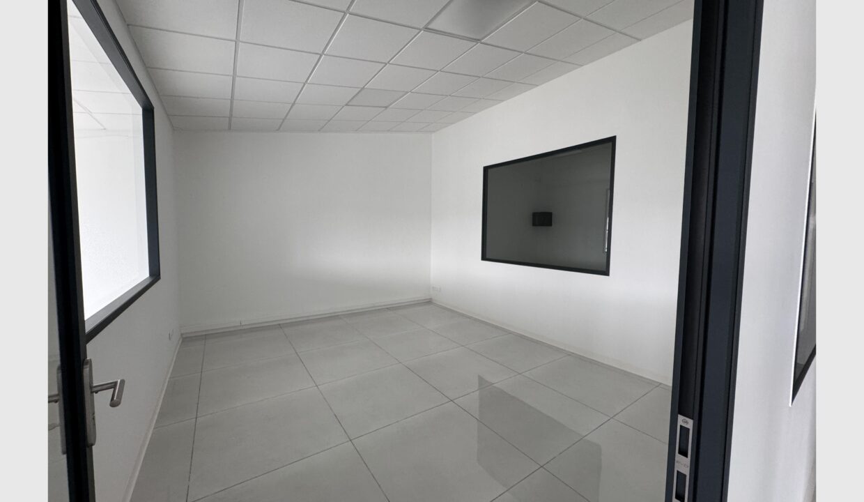 cedp-2664041-6