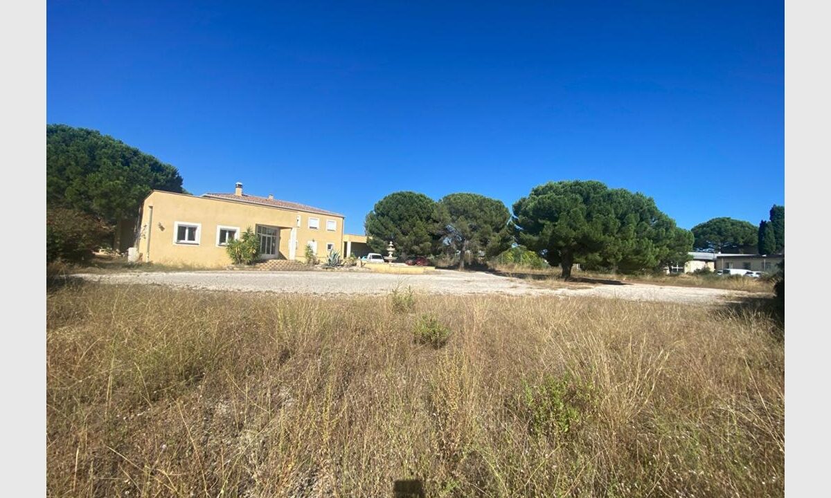 cedp-2664106-11
