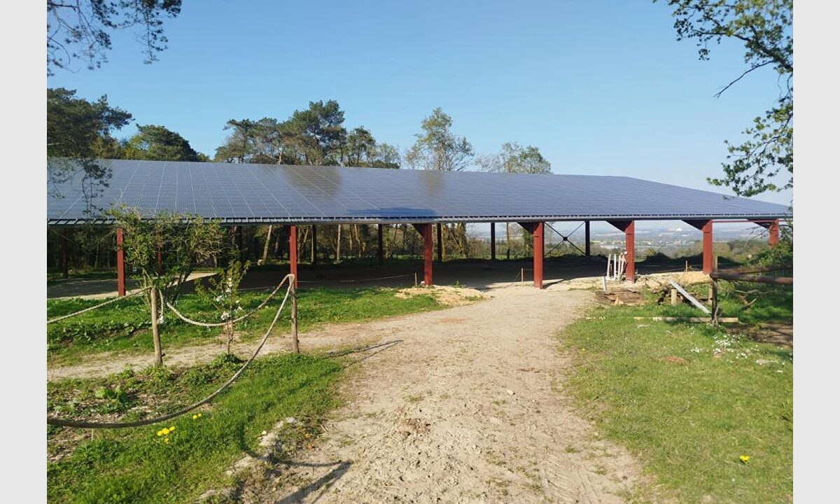 cedp-2665426-11