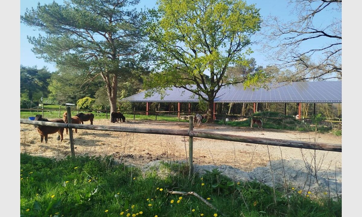 cedp-2665426-12