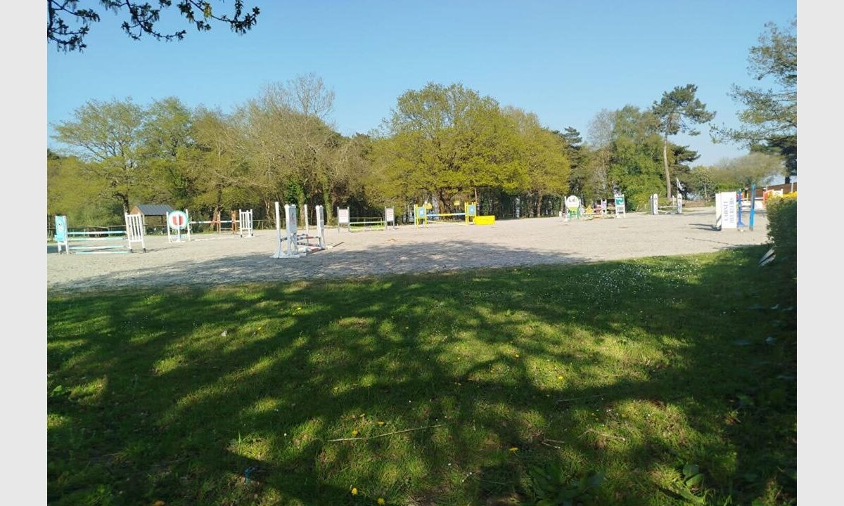 cedp-2665426-6