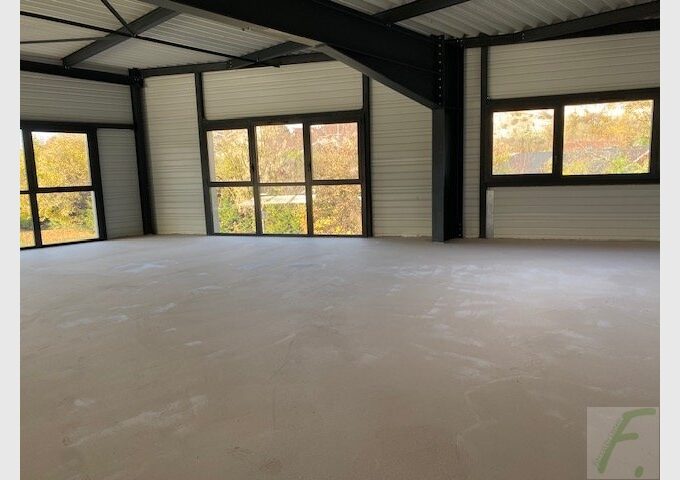 A VENDRE à SYLLINGY HAUTE SAVOIE LOCAUX D’ACTIVITE