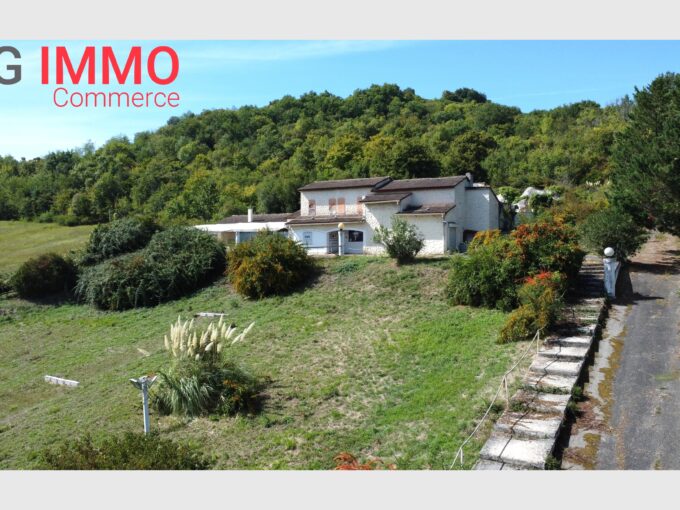 Local activité à Aiguillon